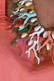 Laundry B Free Spirit Coral Necklace Multi